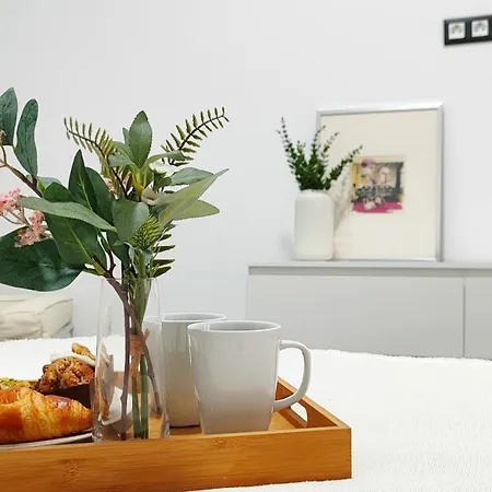Living4malaga Victoria Center Apartment Malaga